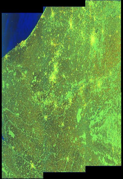 Thumbnail - Sentinel-1 Level-1 Single Look Complex (SLC) products