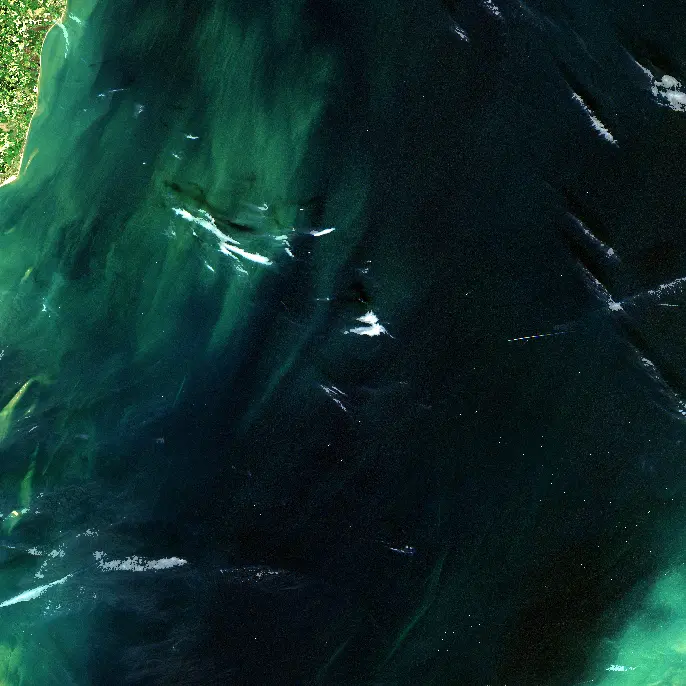Thumbnail - Sentinel-2 Water-Leaving Reflectance (RHOW) (tiles) - V1