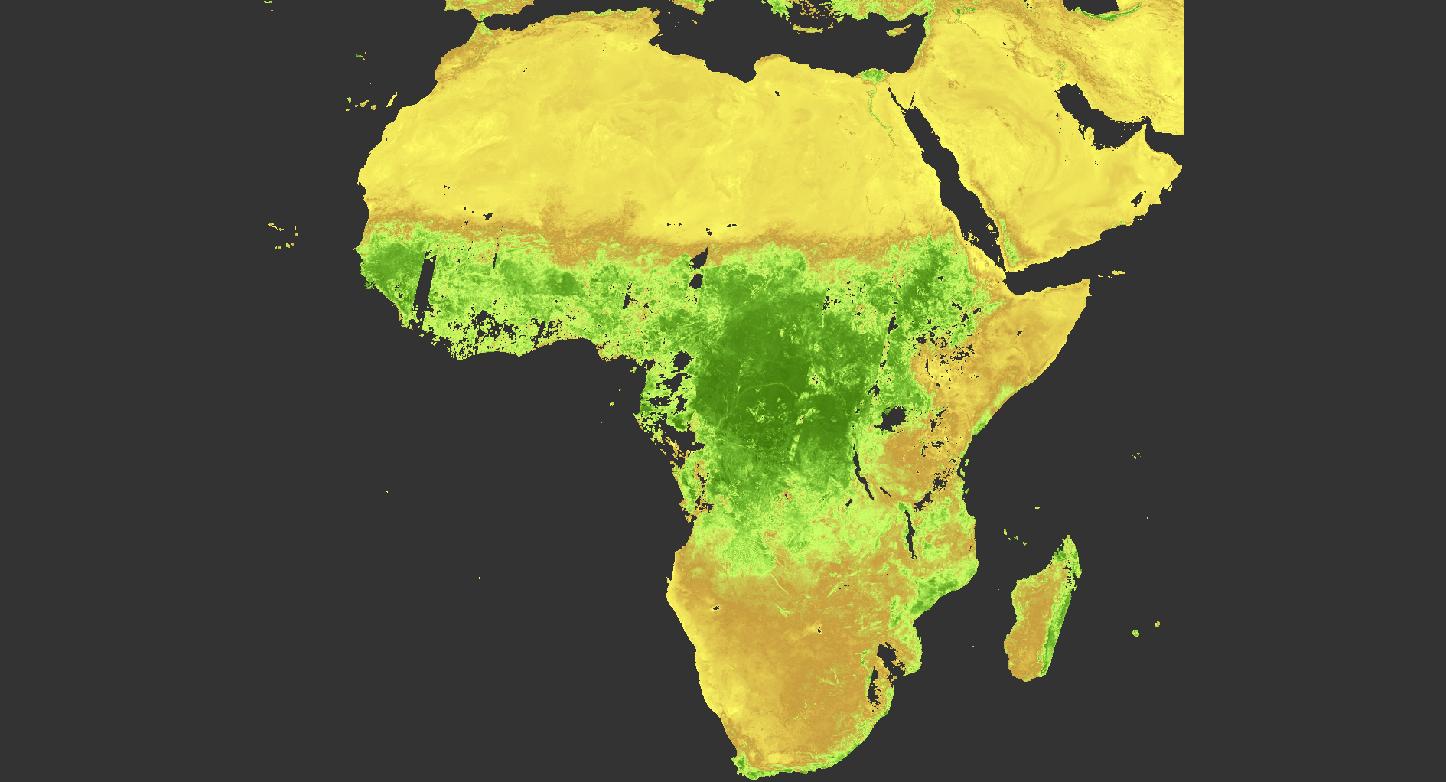 Thumbnail - Sentinel-3 Level 2 Synergy 1 km VEGETATION-Like 10-daily synthesis TOC reflectance and NDVI  - V1