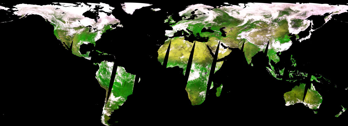 Thumbnail - SPOT-VGT S1 daily synthesis surface reflectance and NDVI - V2