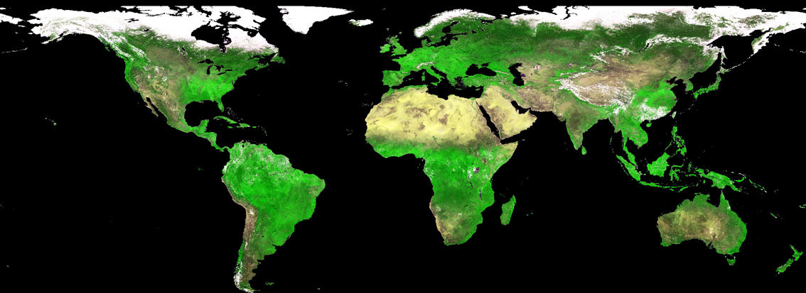 Thumbnail - SPOT-VGT S10 10-daily synthesis surface reflectance and NDVI - V2